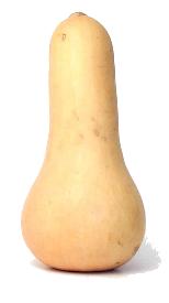 Bild p Butternut Squash